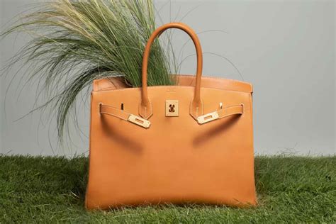 hermes birkin valor